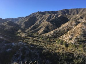 The back of the canyon in Angeles National Forest