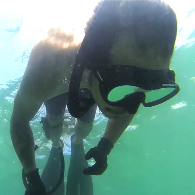 free diver snorkeling