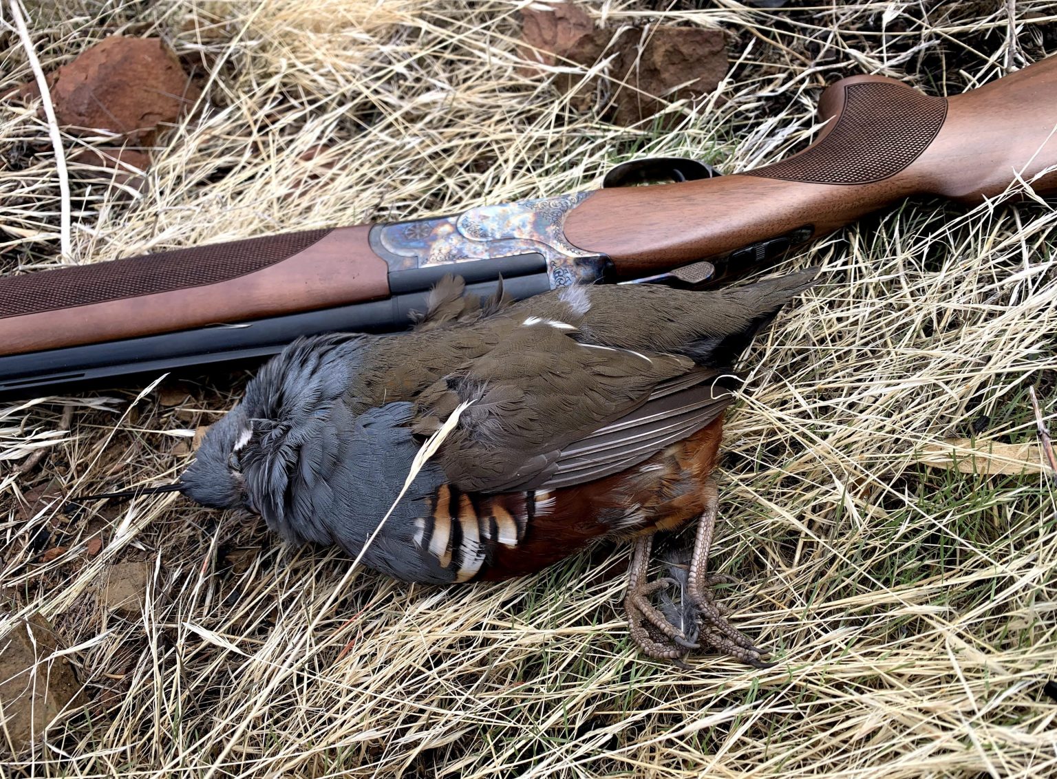 How to Refinish a Gunstock with Tru-Oil - Hack Outdoors