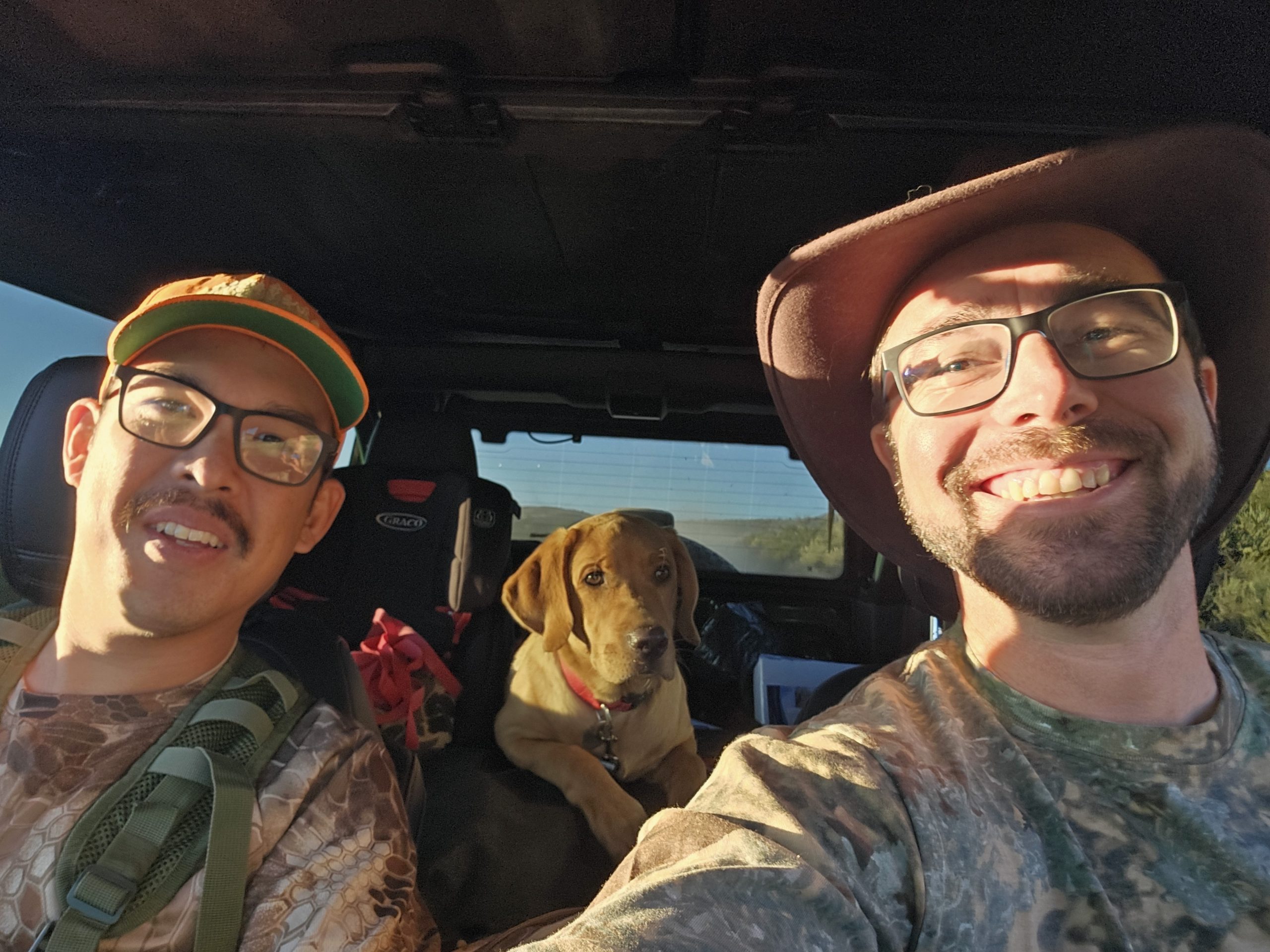 hunting deer with a dog